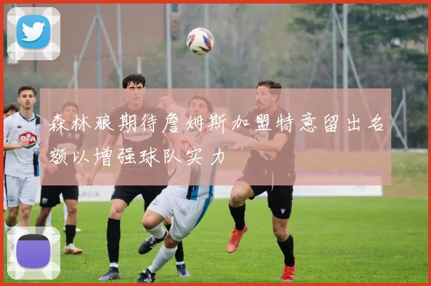 森林狼期待詹姆斯加盟特意留出名额以增强球队实力