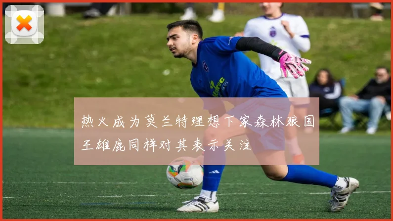热火成为莫兰特理想下家森林狼国王雄鹿同样对其表示关注