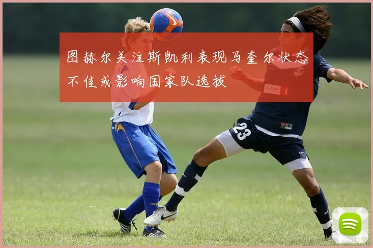 图赫尔关注斯凯利表现马奎尔状态不佳或影响国家队选拔