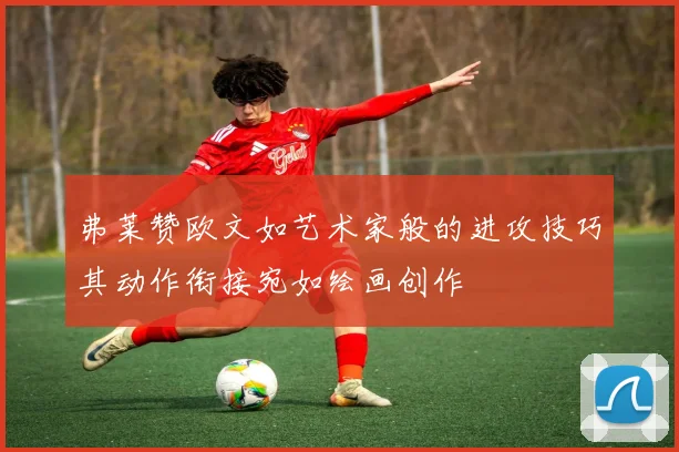 弗莱赞欧文如艺术家般的进攻技巧其动作衔接宛如绘画创作